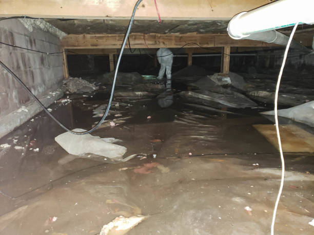 Best Residential Water Damage Restoration in Lowell, MA